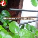 Titanium Bars / Titanium Rod